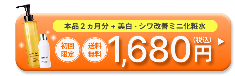 初回限定特別価格ボタン